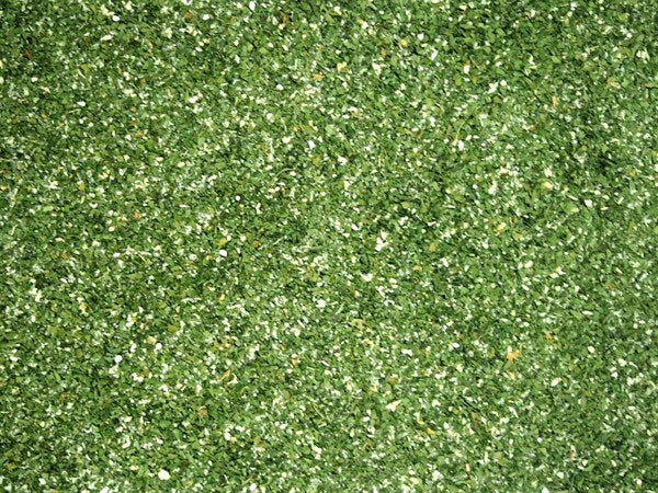 Tempero para manteiga de ervas - 100 g
