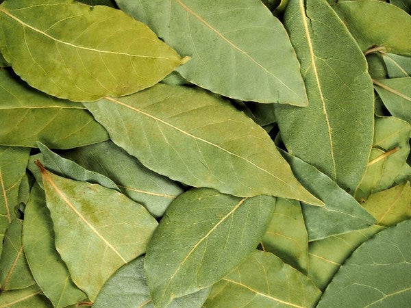 Folha de louro inteira - 100 g