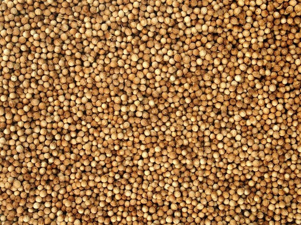 Coentro orgânico inteiro - 100 g