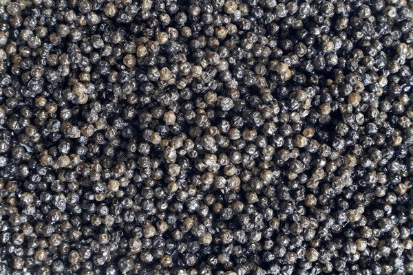 Pimenta preta fermentada orgânica - 100 g