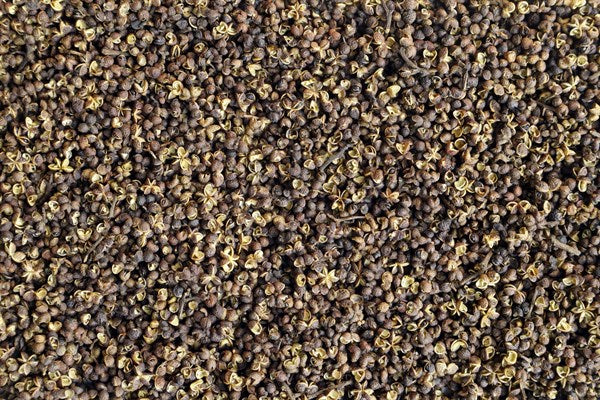 Pimenta Mac Khen - 100 g