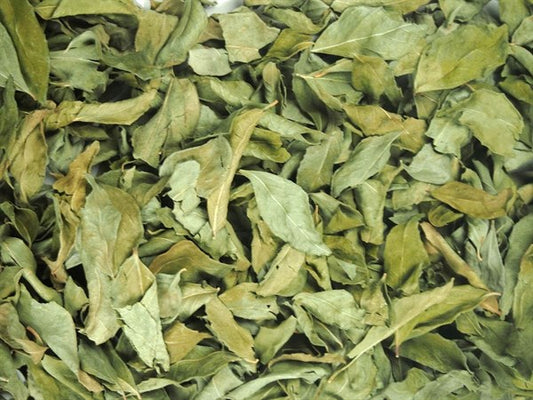 Folhas de curry - 100 g
