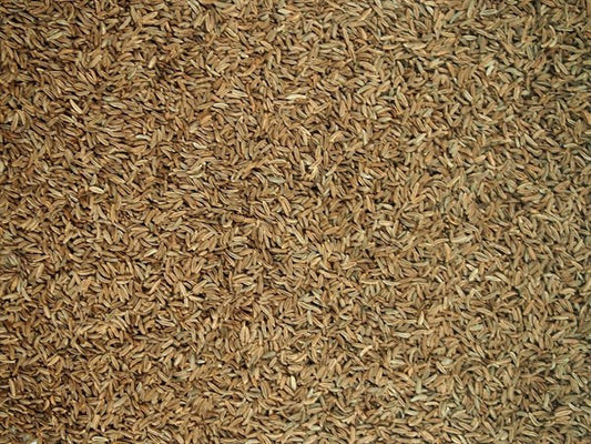 Cominho checo inteiro - 100 g