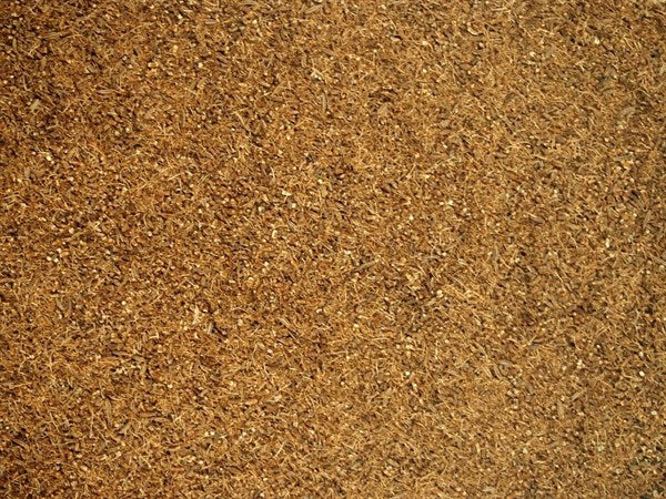 Cominho checo triturado - 100 g