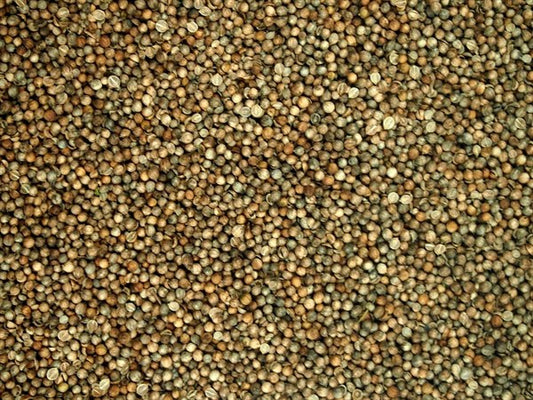 Coentro inteiro - 100 g