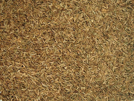 Cominho romano inteiro - 100 g