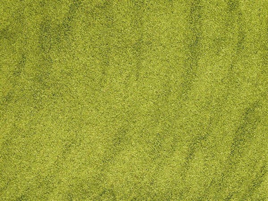 Pimentão verde moído - 100 g