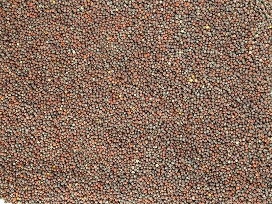 Mostarda preta inteira - 100 g