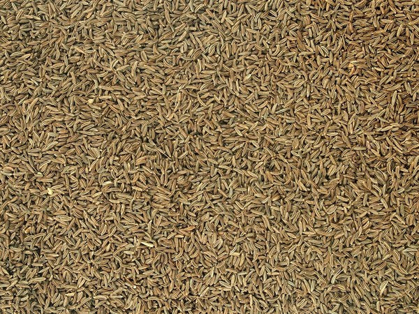 Cominho checo orgânico inteiro - 100 g