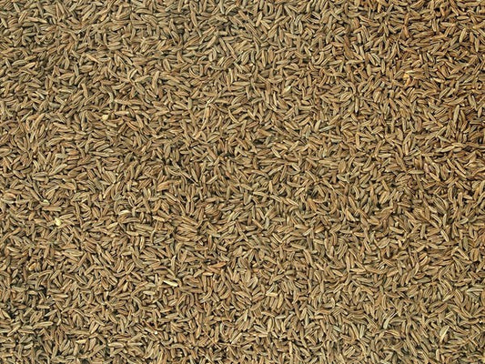 Cominho checo orgânico inteiro - 100 g