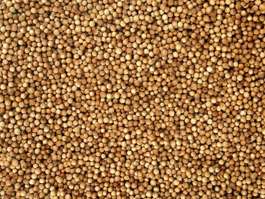 Coentro orgânico inteiro - 100 g