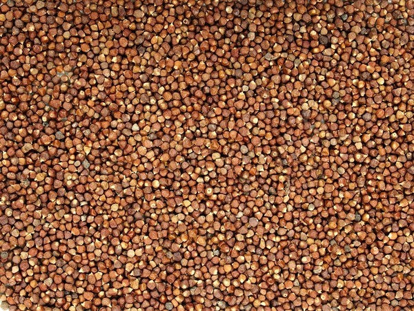 Pimenta da Guiné - sementes de tomate - 100 g