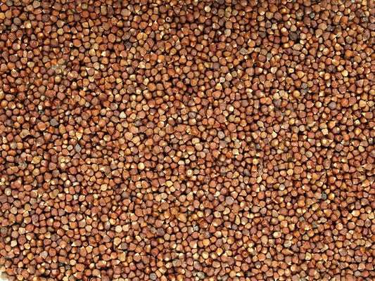 Pimenta da Guiné - sementes de tomate - 100 g