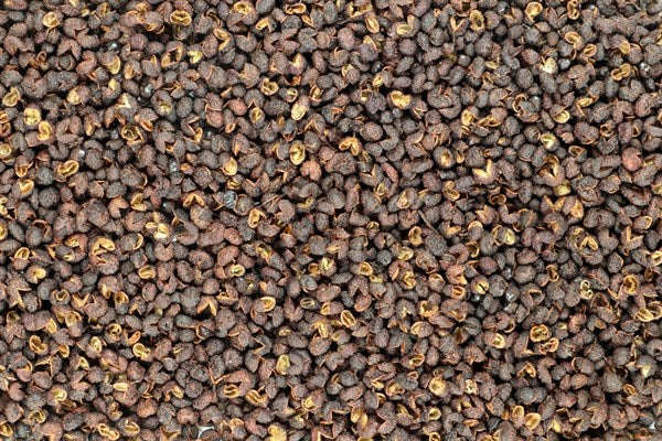 Pimenta Szechuan Timut inteira BIO - 100 g