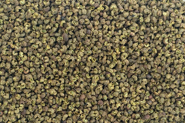 Pimentão verde Szechuan inteiro - 100 g