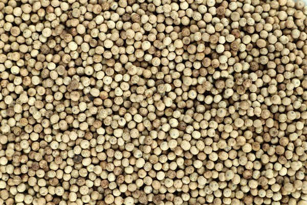 Pimenta branca Kampot - 100 g