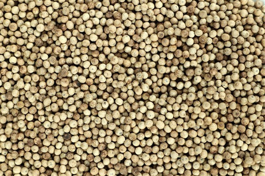 Pimenta branca Kampot - 100 g